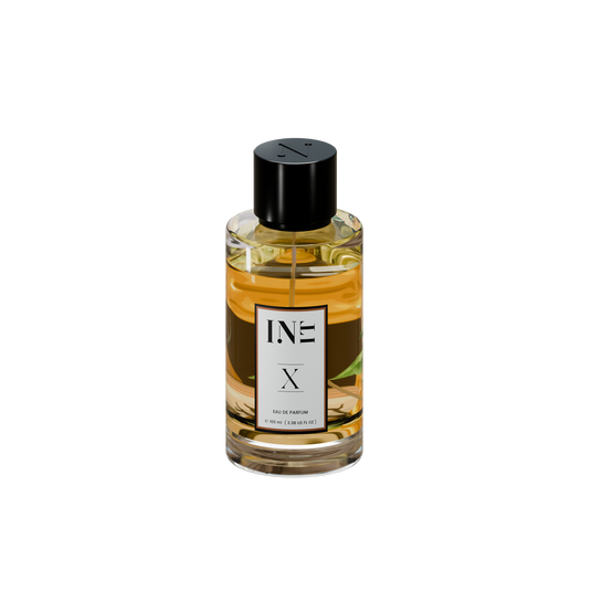 INIT No.X - Obscura